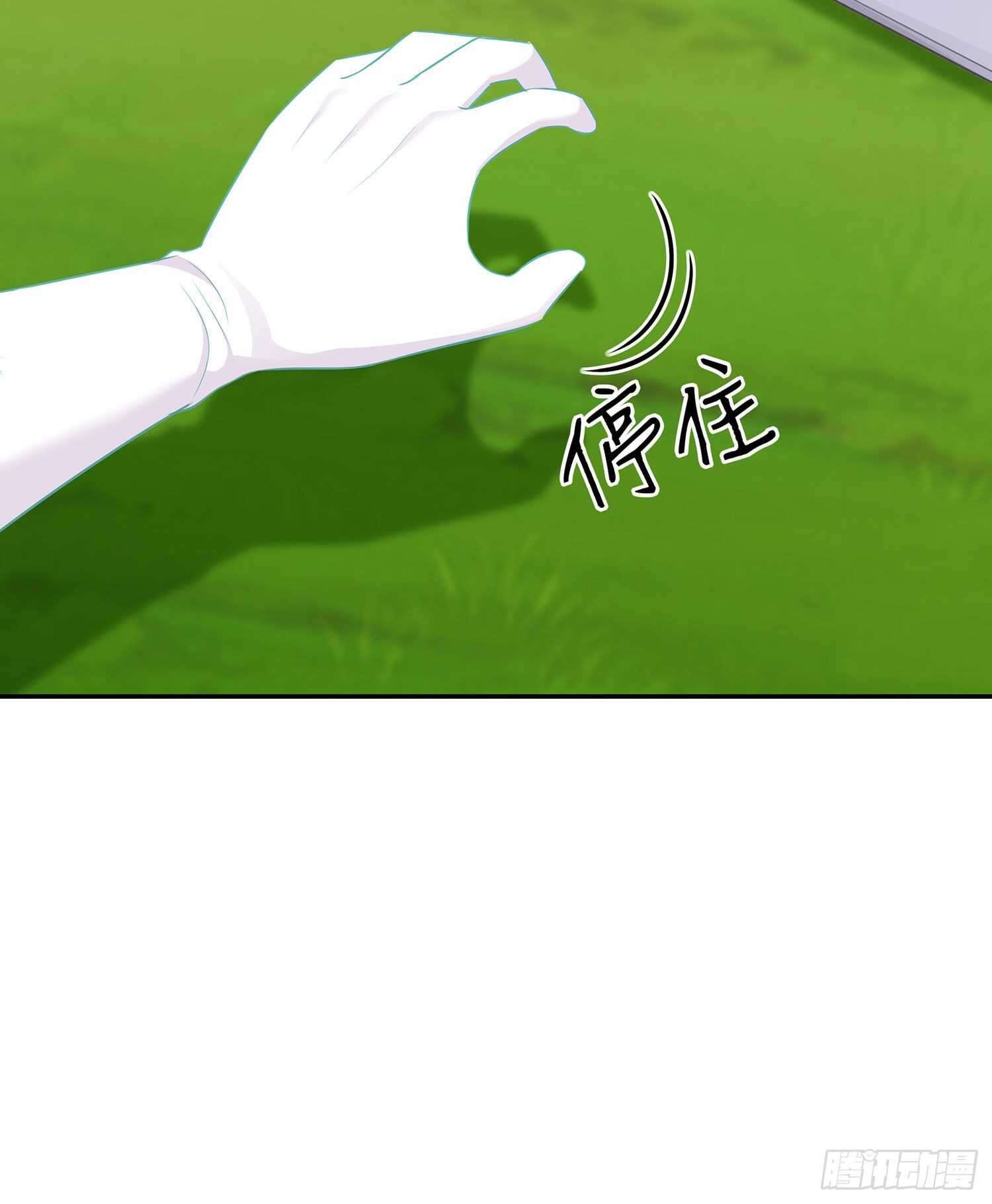 喀翠丝·维德布尔（上）8