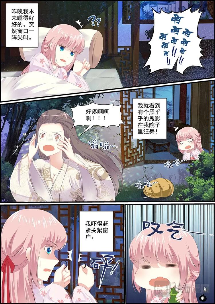 016 群蜂乱舞5