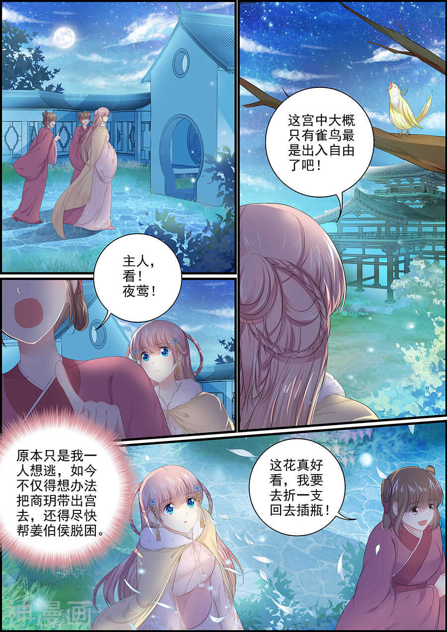 第135话 抛绣球5