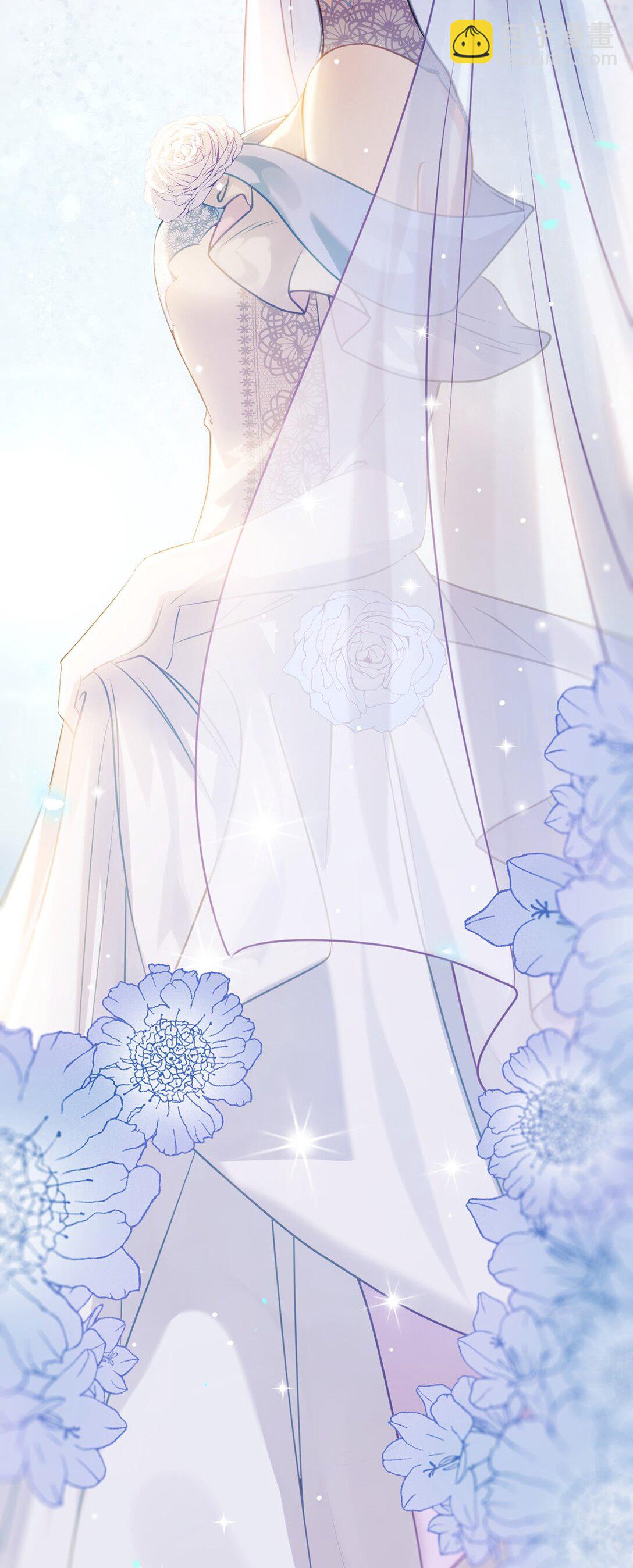 177 最美的新娘36