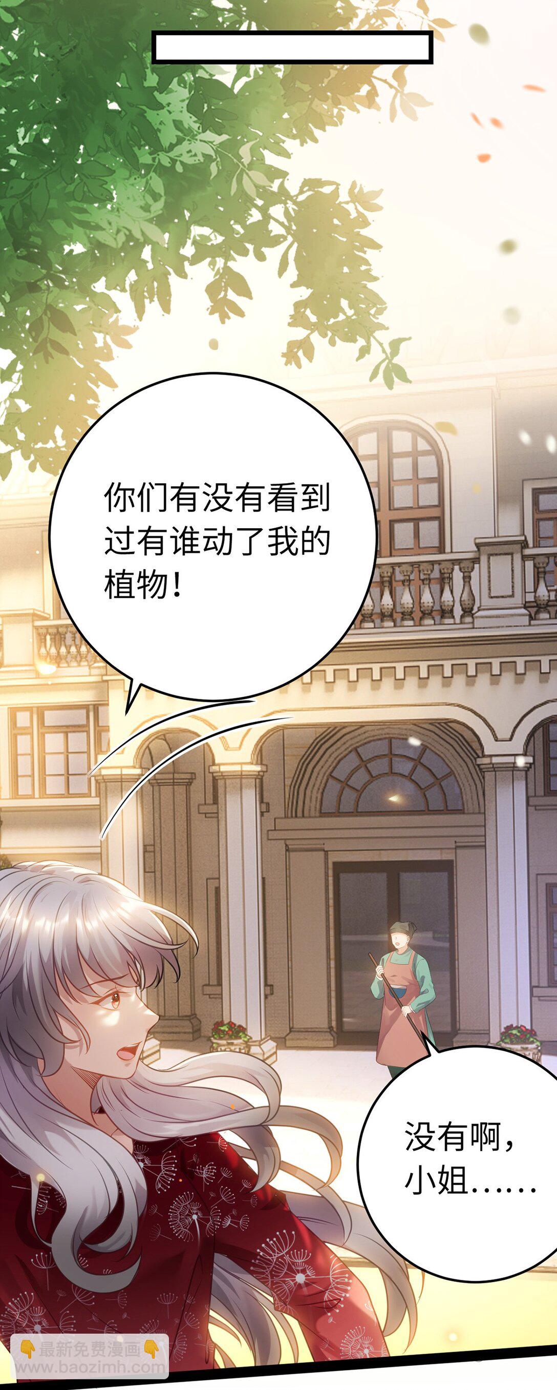 177 最美的新娘7