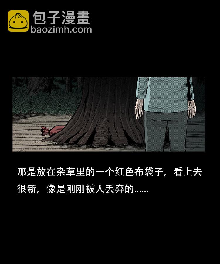 红布袋13