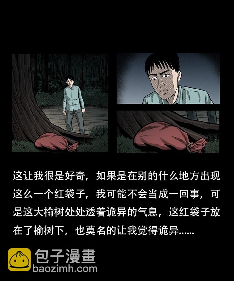 红布袋14