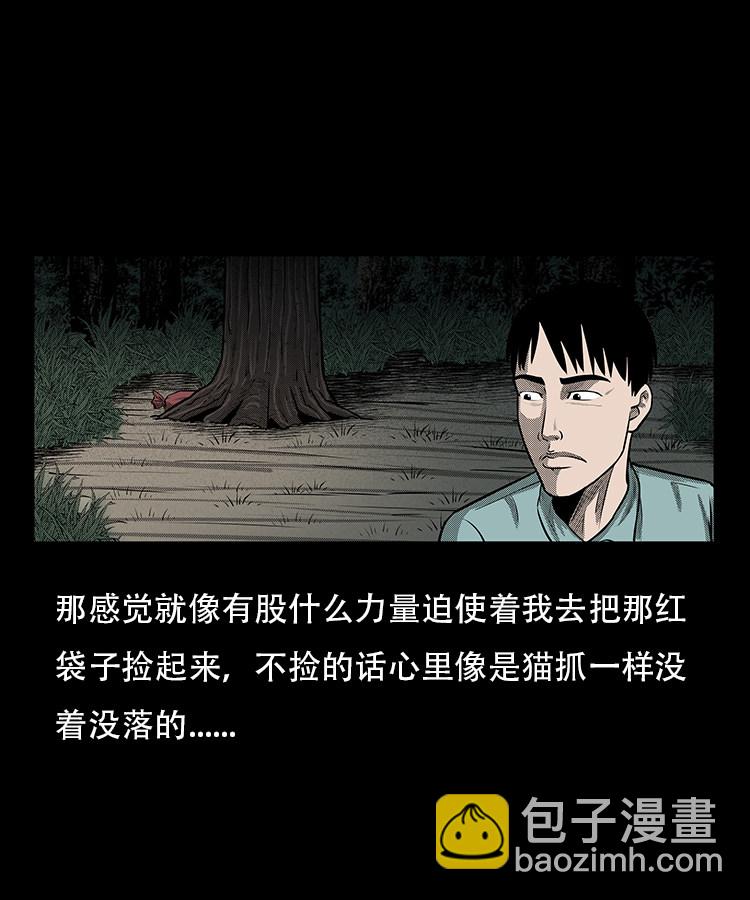 红布袋17