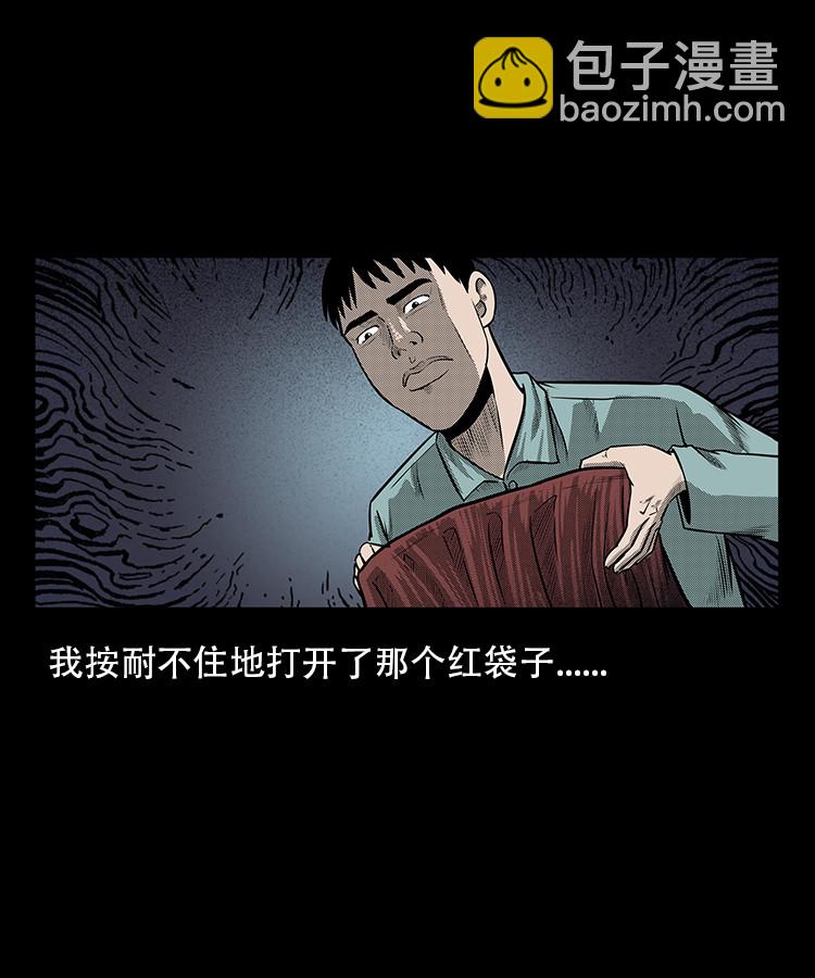 红布袋21