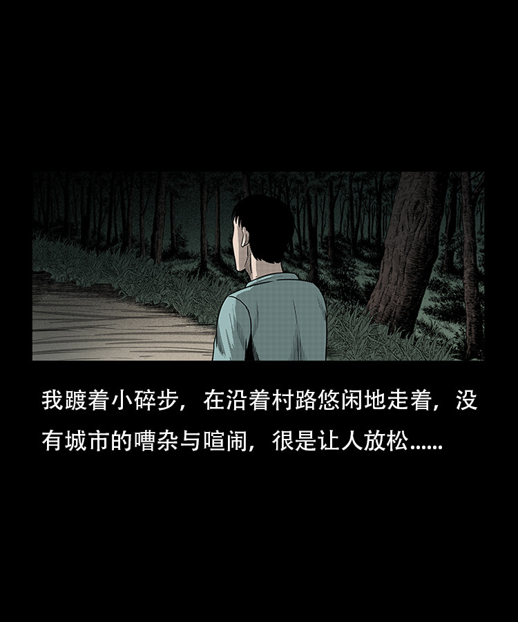 红布袋6