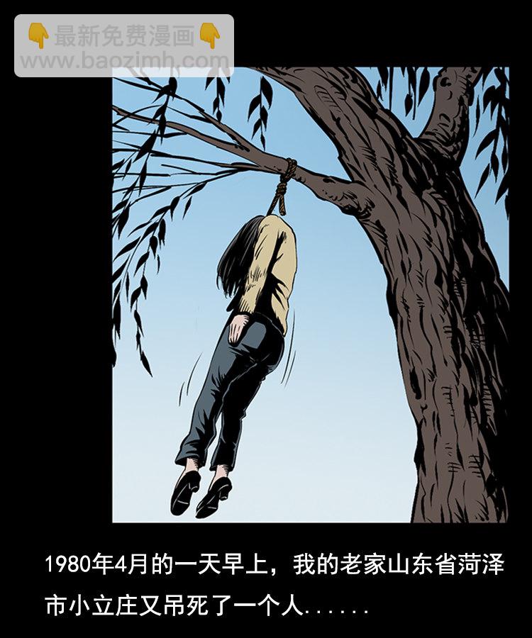 花柳树1