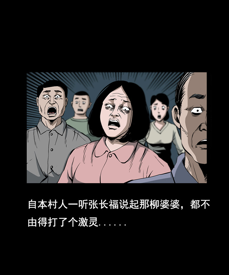花柳树41