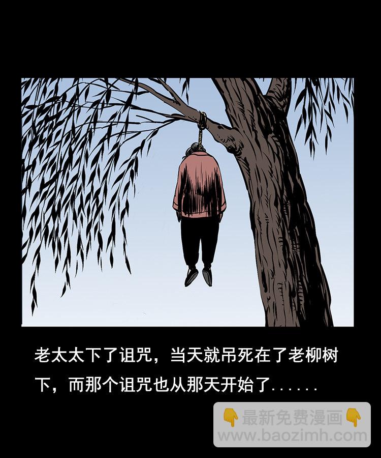 花柳树62