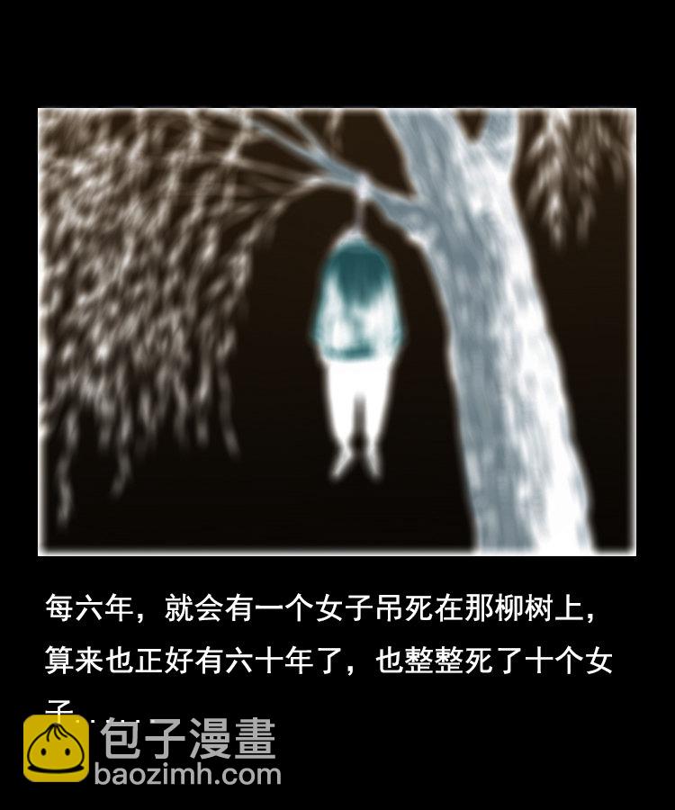 花柳树63