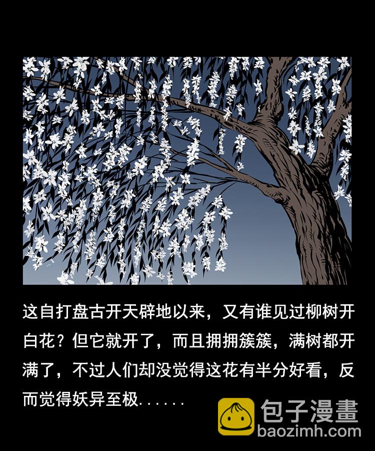花柳树65