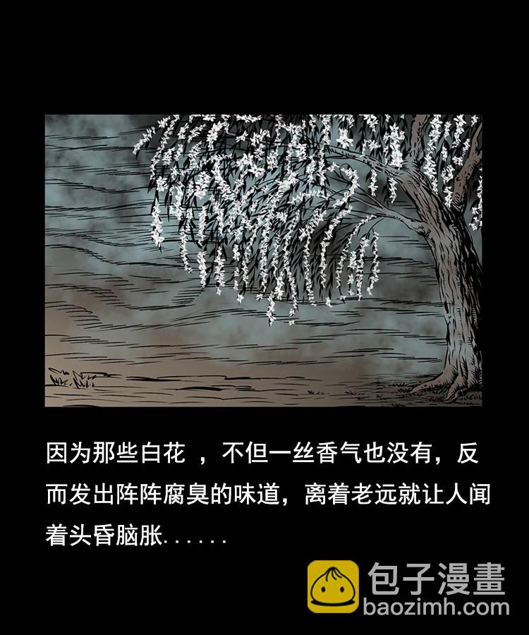 花柳树66