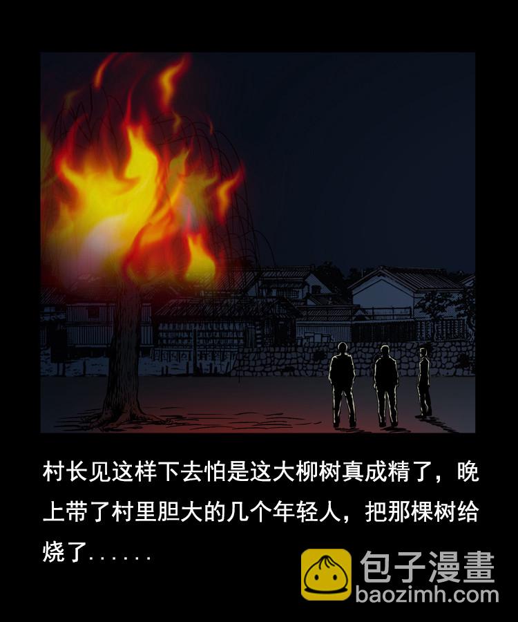 花柳树67