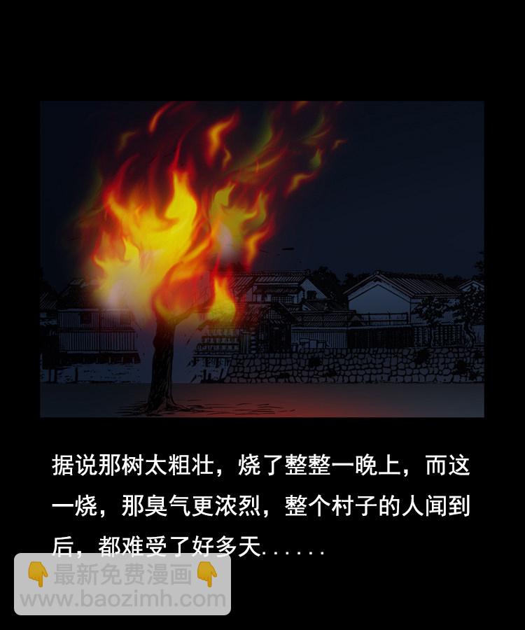 花柳树68