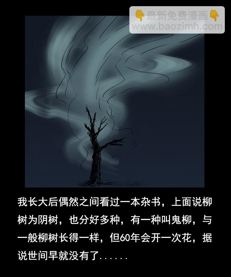 花柳树69