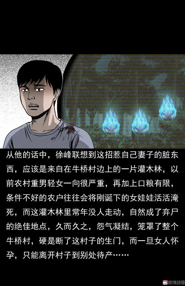 诡婴（下）65