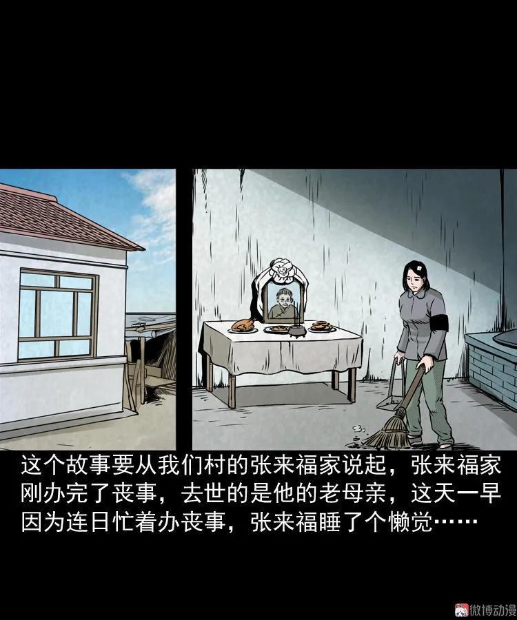 僵尸老太太1
