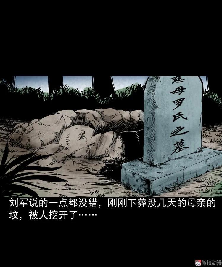 僵尸老太太11