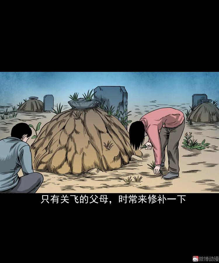 饺子65