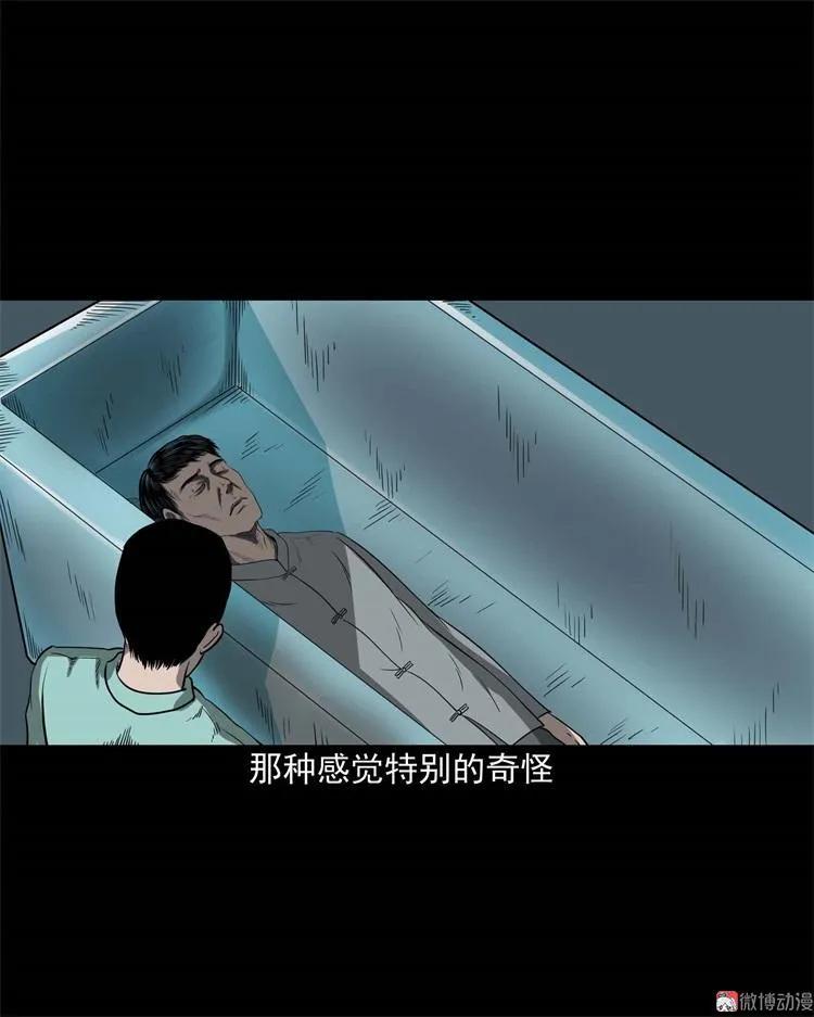 不是诈尸11