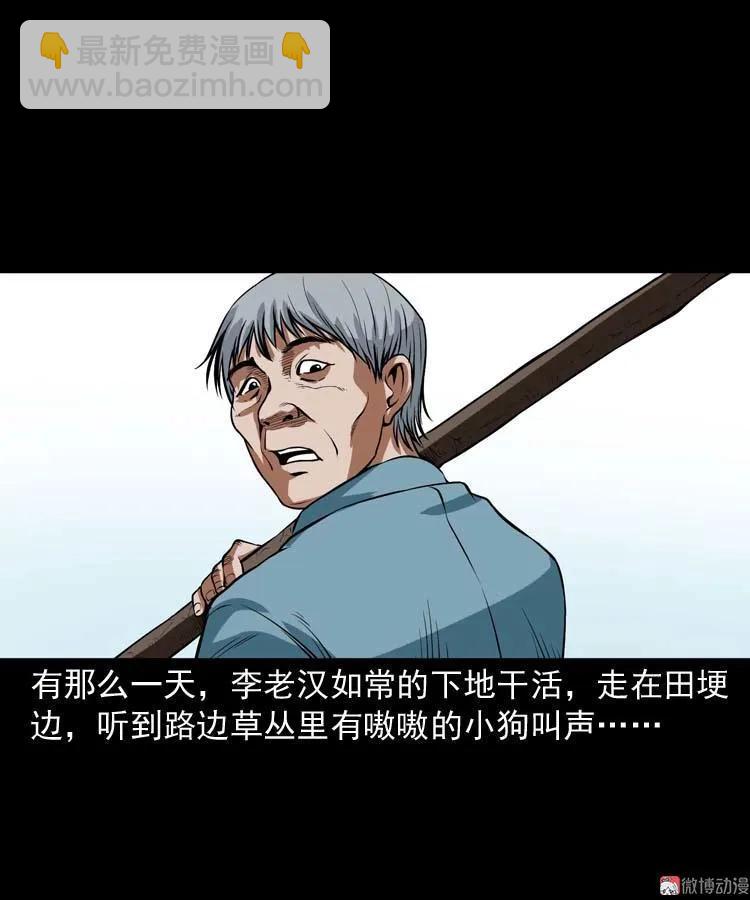 狗17