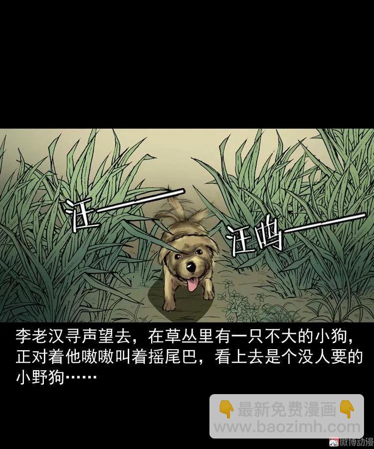 狗18