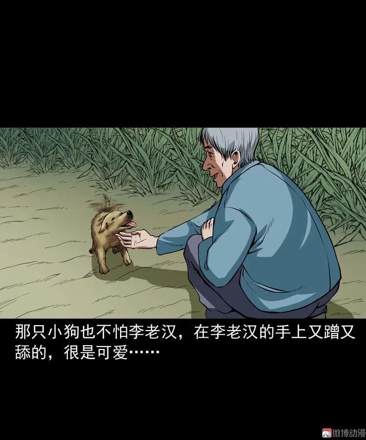 狗20