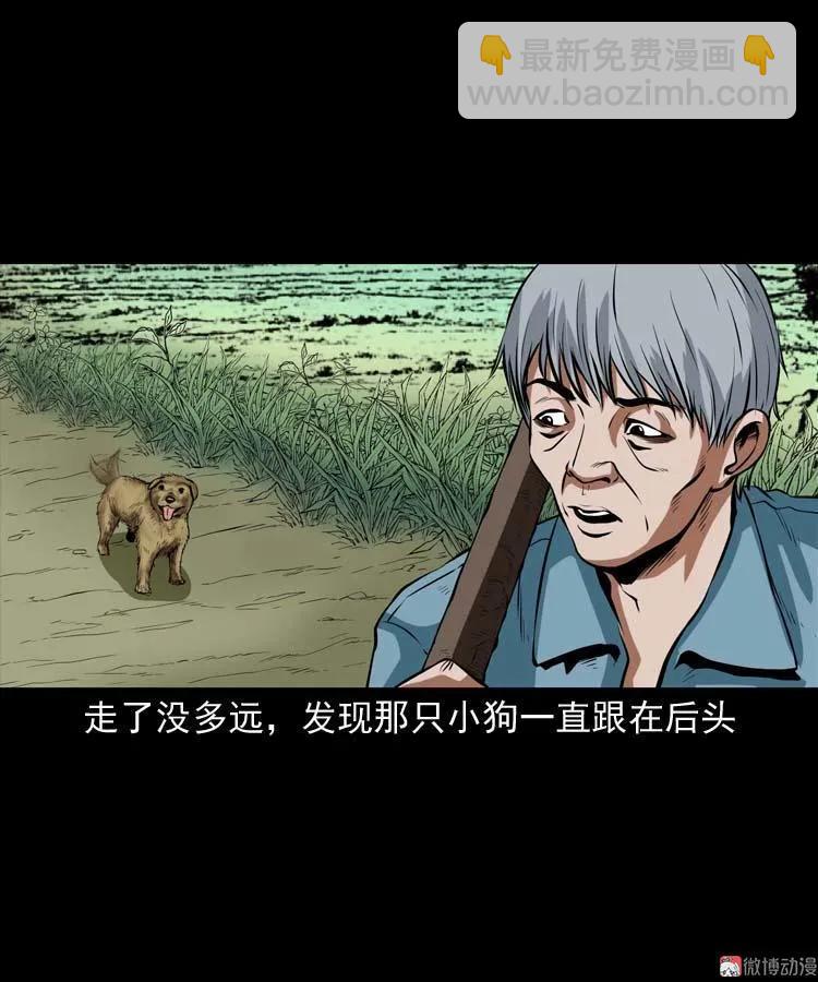 狗23