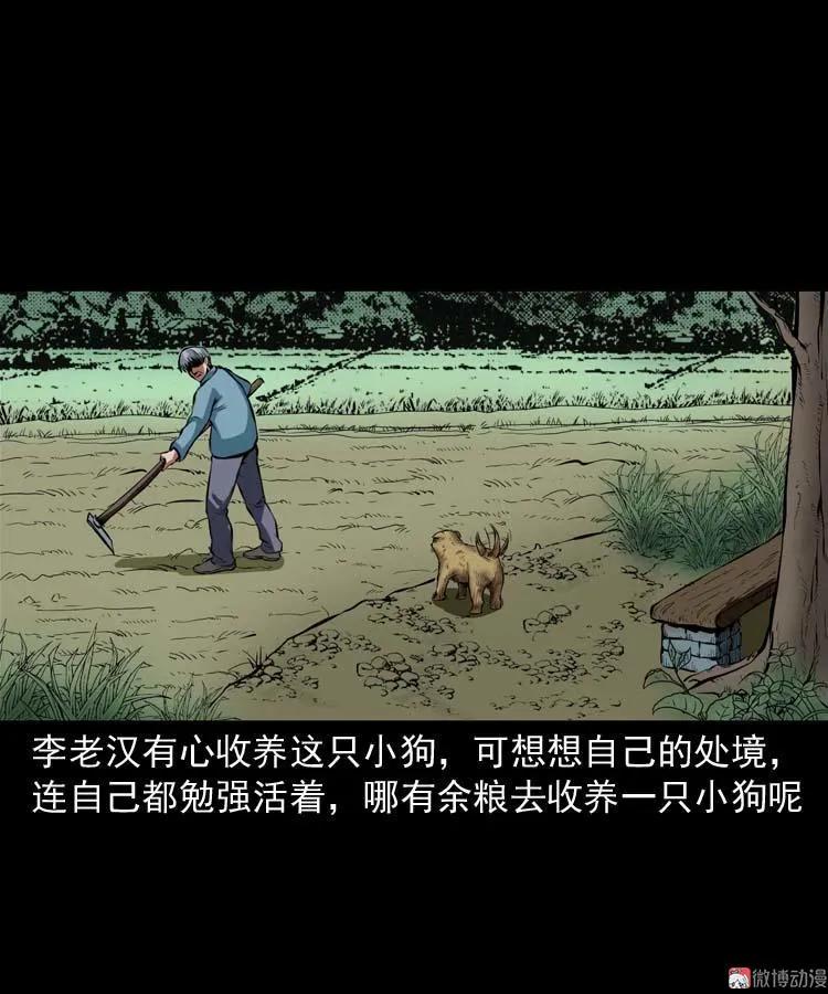 狗24