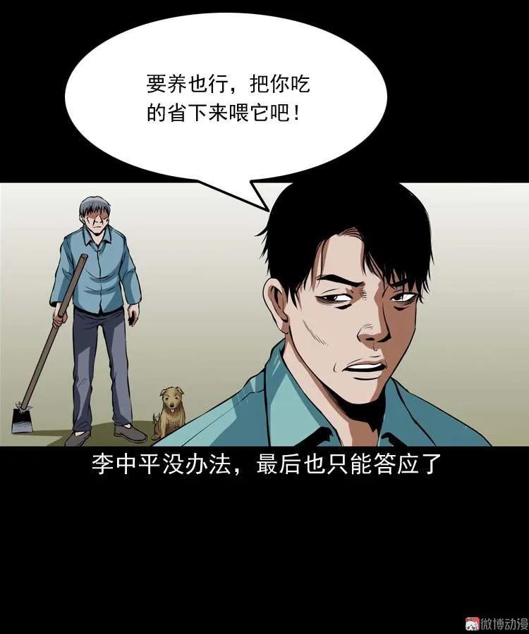 狗28