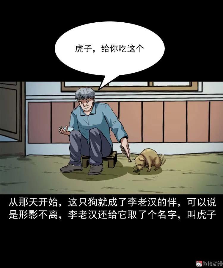 狗29