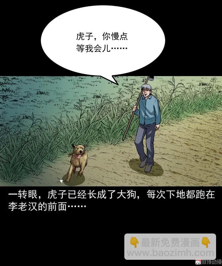 狗31