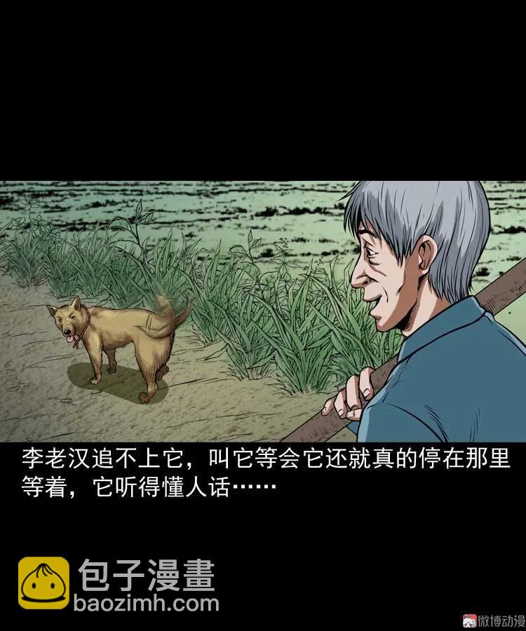 狗32