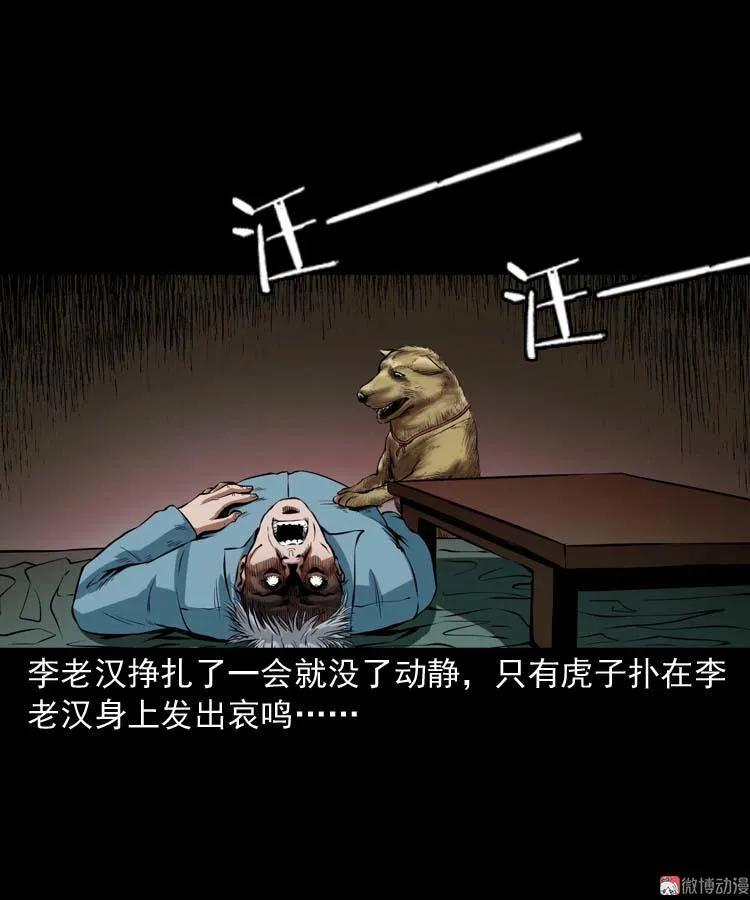 狗42