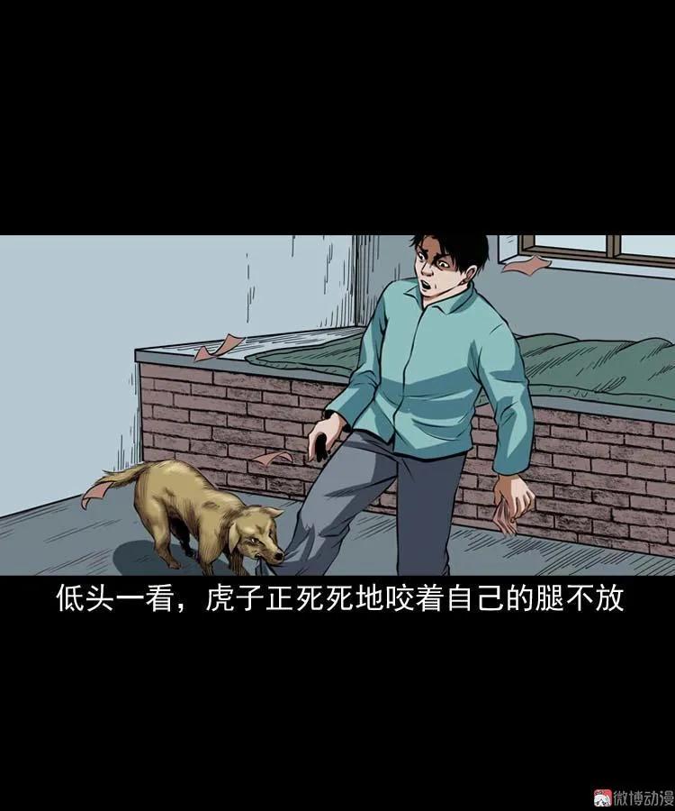 狗45