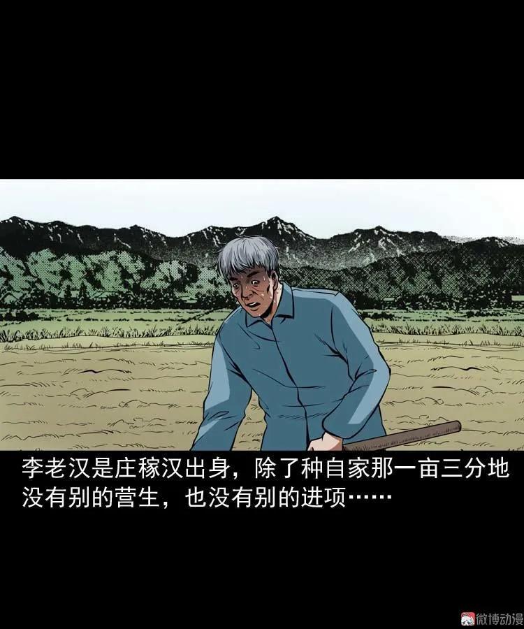 狗5