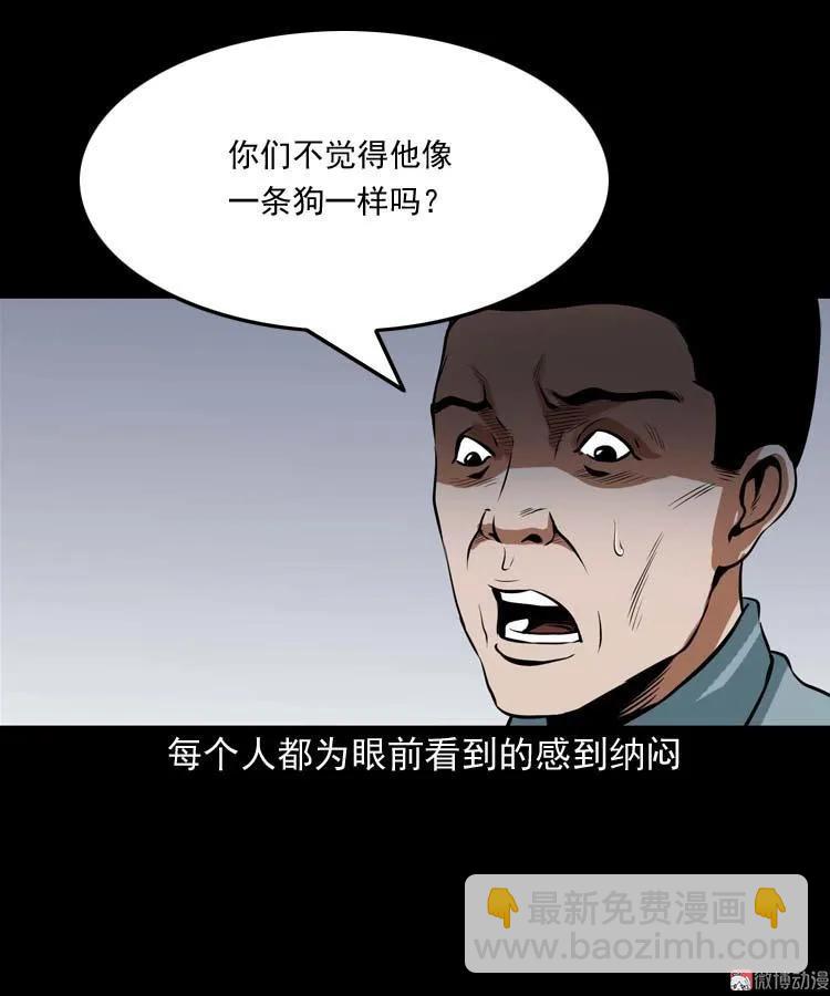 狗56