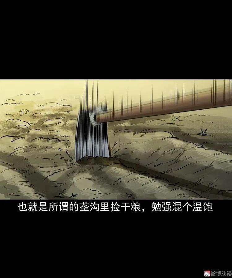 狗6