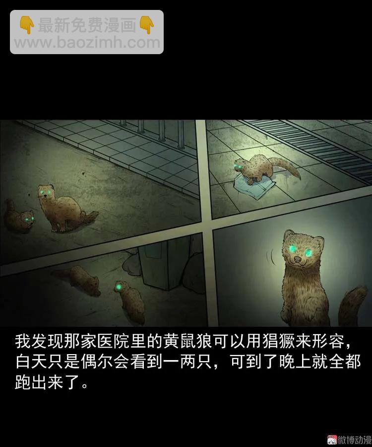 黄皮子医院15