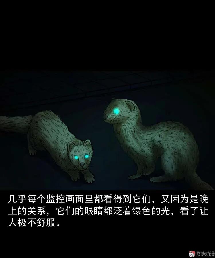 黄皮子医院16