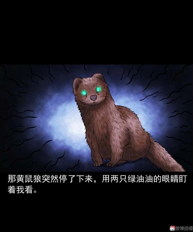 黄皮子医院43