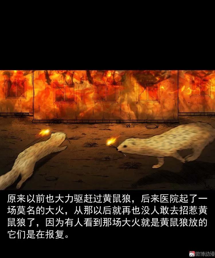 黄皮子医院68