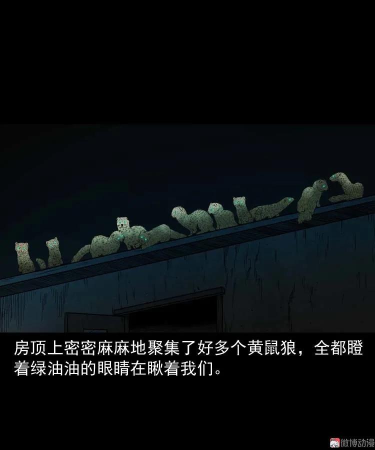黄皮子医院84