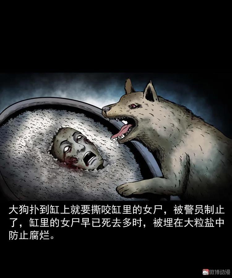 消失的妻子104