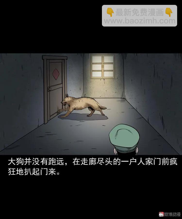 消失的妻子96