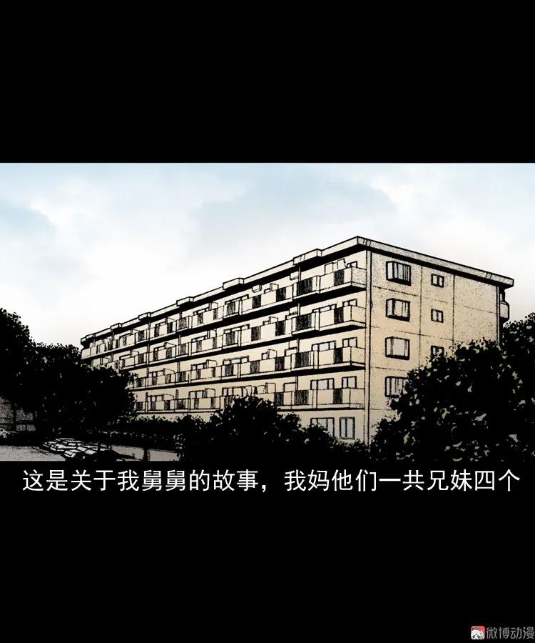 舅舅的故事2