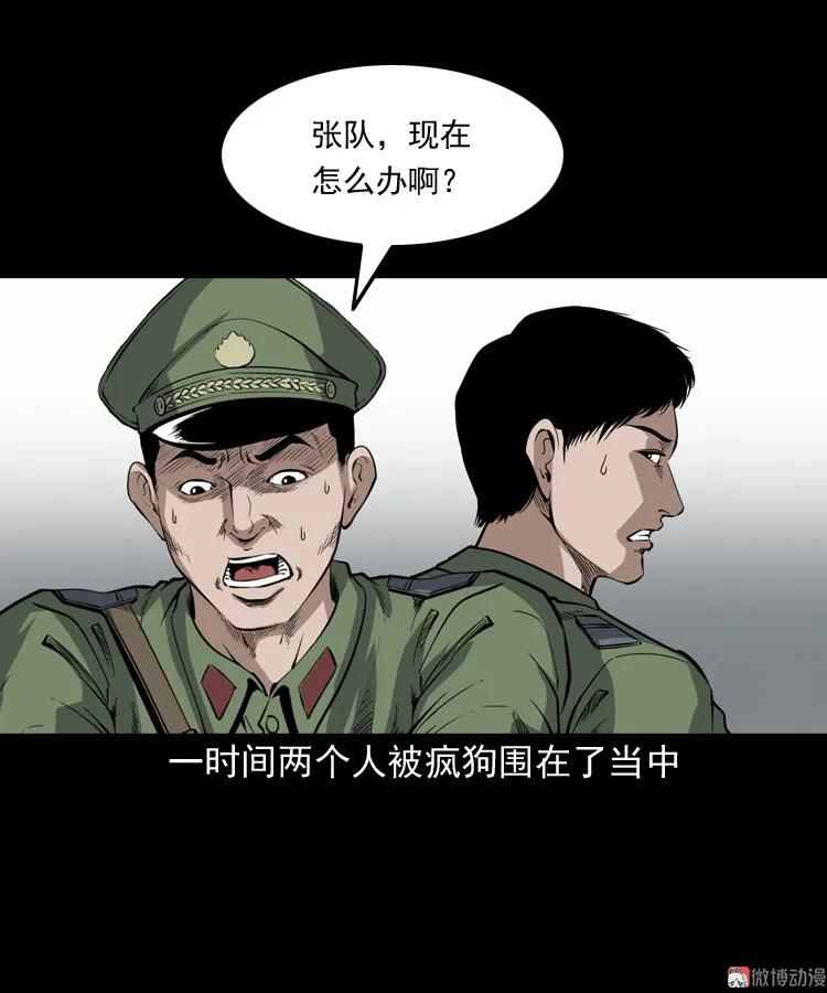 僵尸事件（二）14