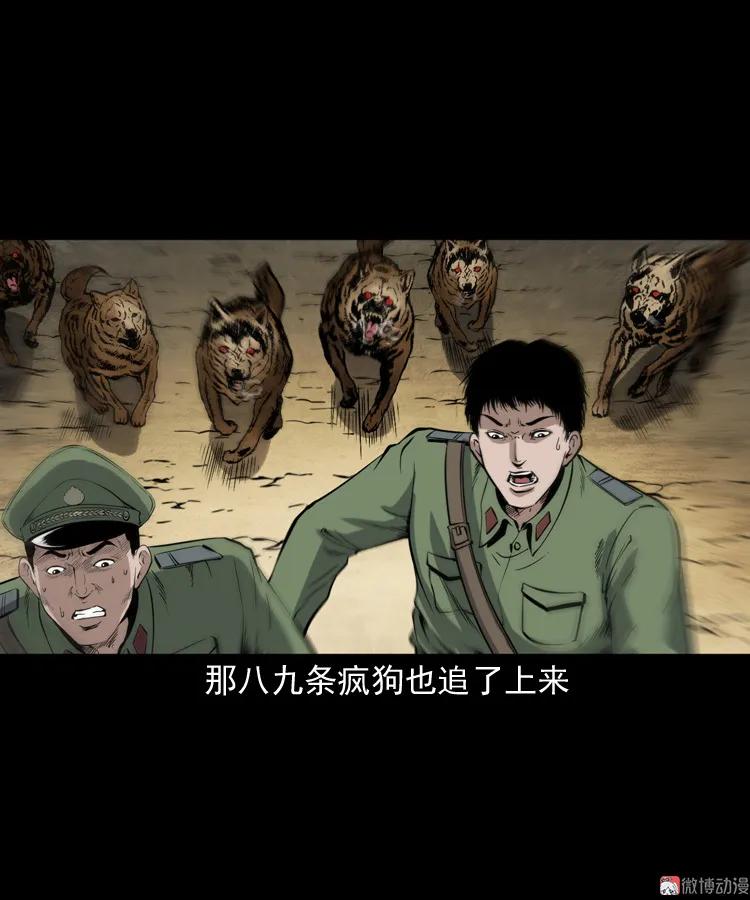 僵尸事件（二）17