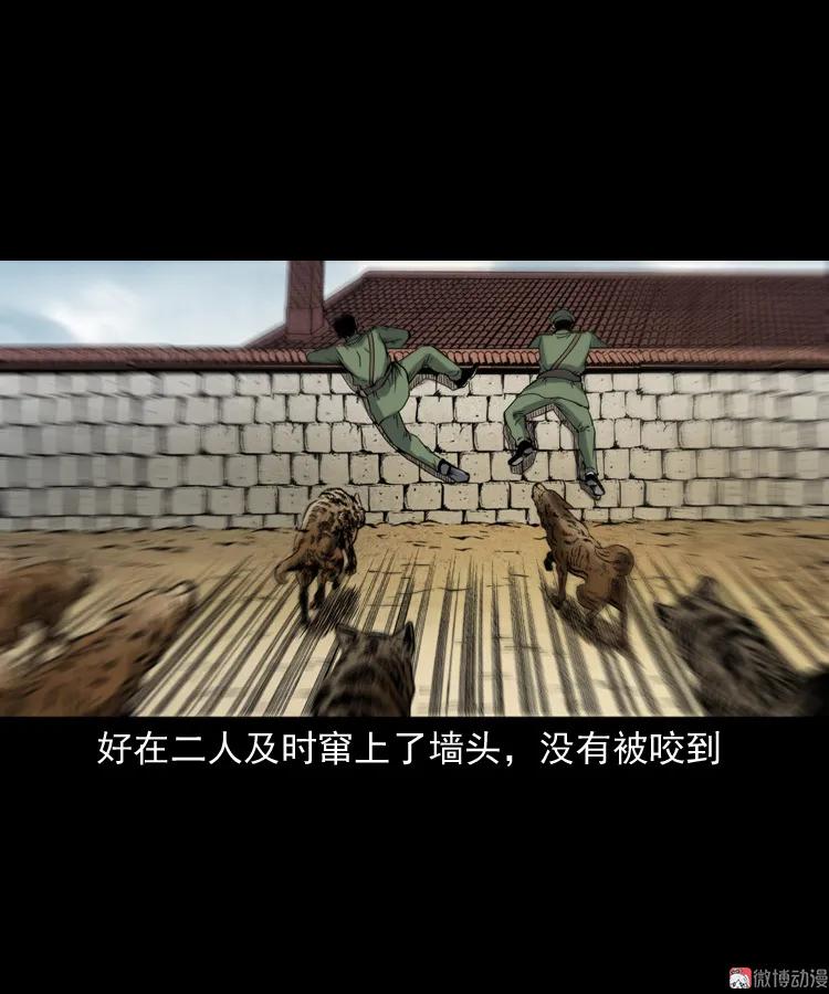 僵尸事件（二）18