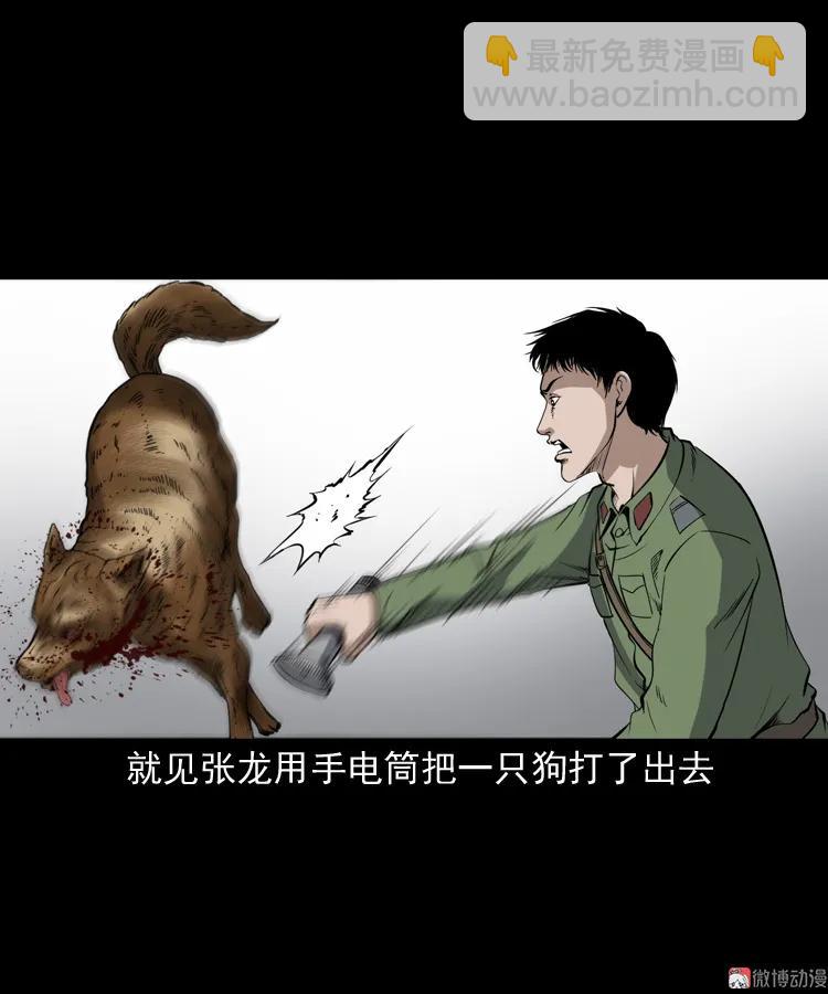 僵尸事件（二）5
